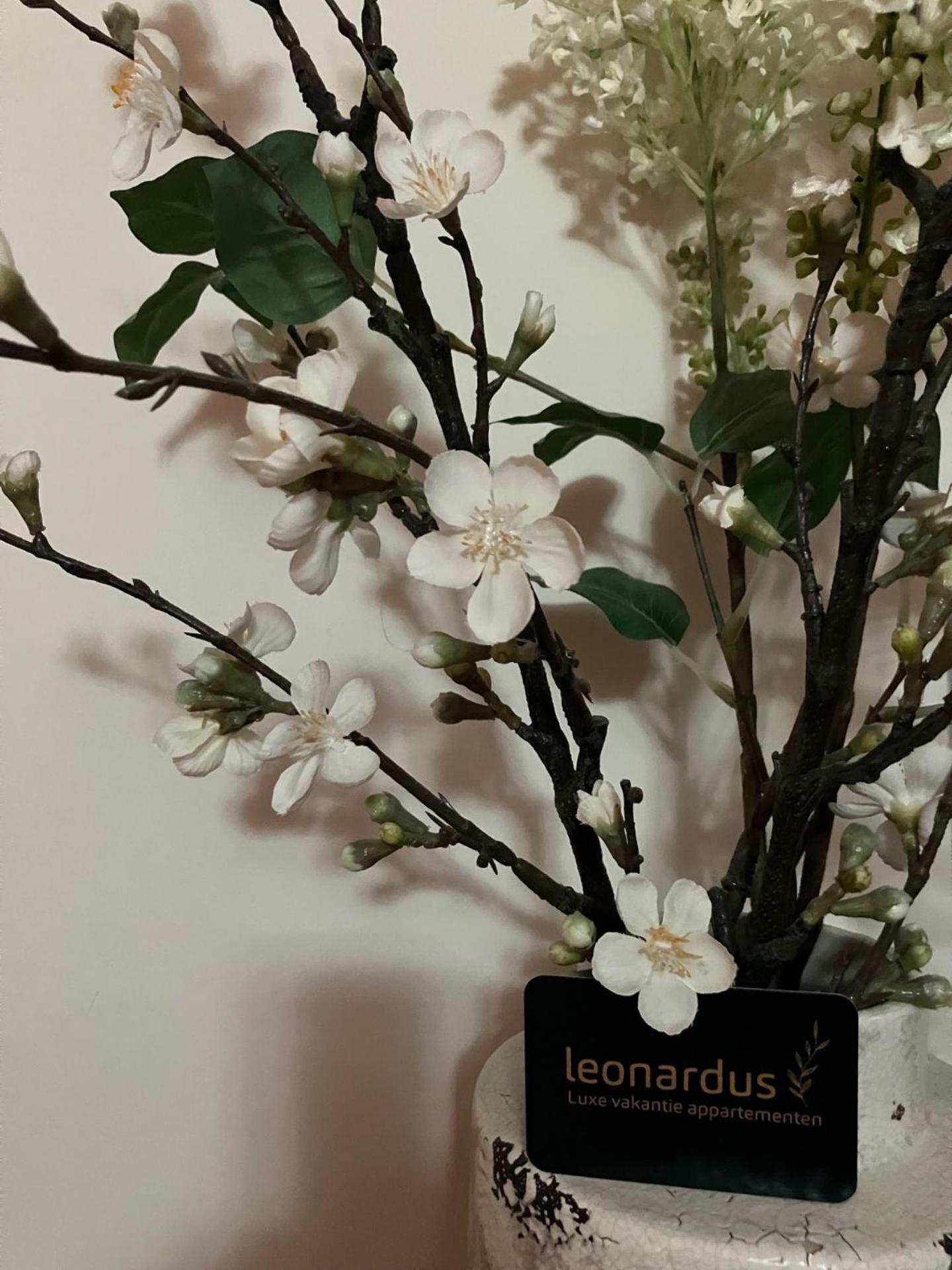Luxe Leonardus